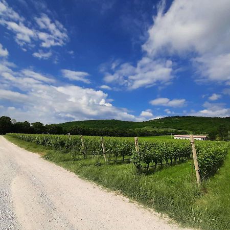 Agriturismo Andreis Alloggi Illasi Екстериор снимка