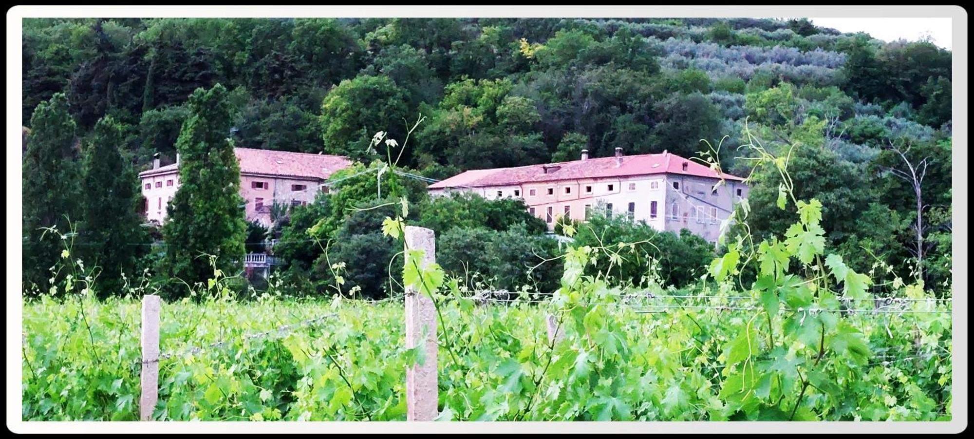 Agriturismo Andreis Alloggi Illasi Екстериор снимка